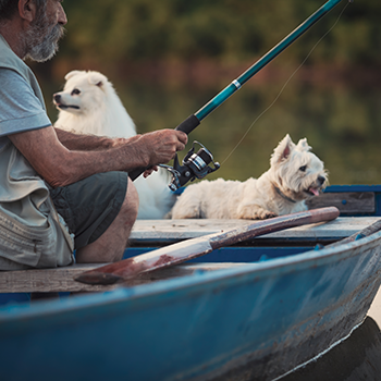 Man in fishing boat with 2 dogs